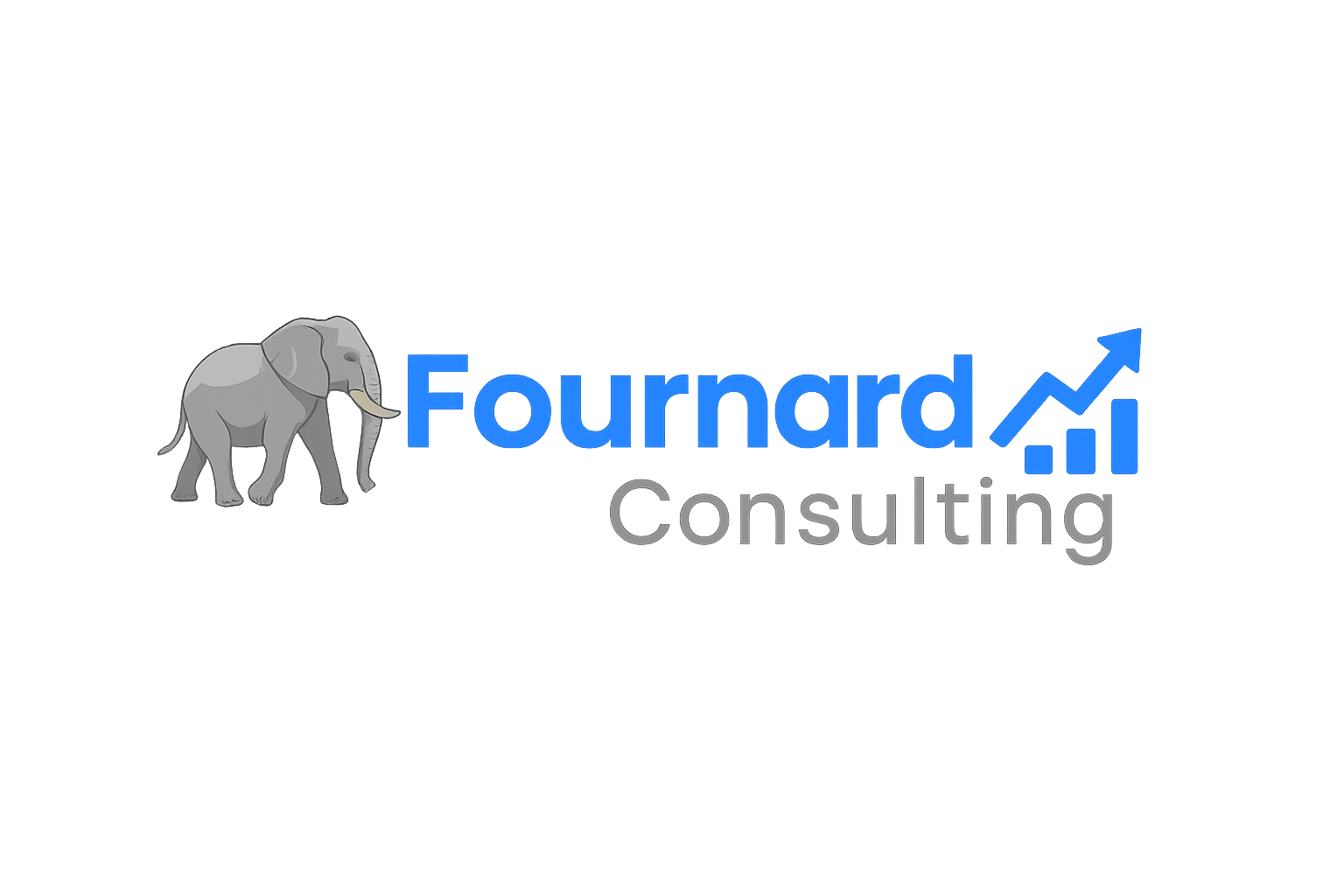 Logo Fournard Consulting